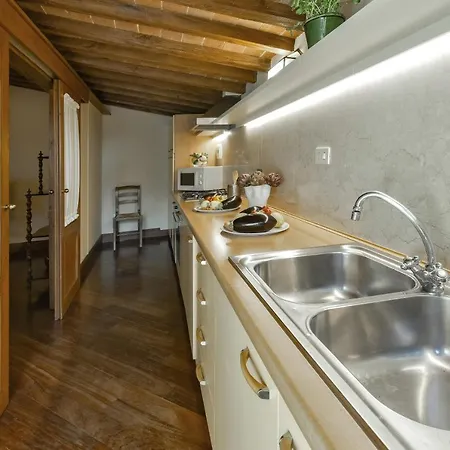 Apartment Buonarroti Big With Terrace In Oltrarno
